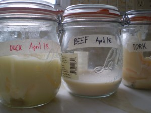 Jars of rendered fat: duck, beef, and pork