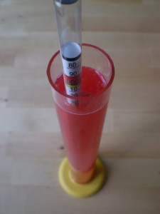 Testing the specific gravity of raspberry mead, or melomel