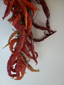 Dried chili peppers