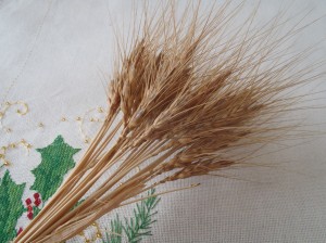 A sheath of wheat