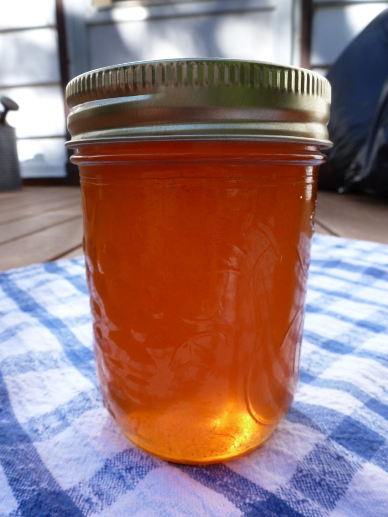 A glowing jar of rosehip jelly