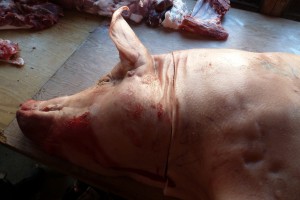 A pig's head from Nature's Green Acres