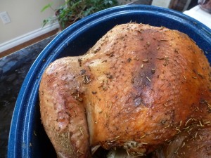 A Thanksgiving turkey, fresh from the oven