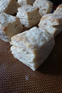 Square biscuits