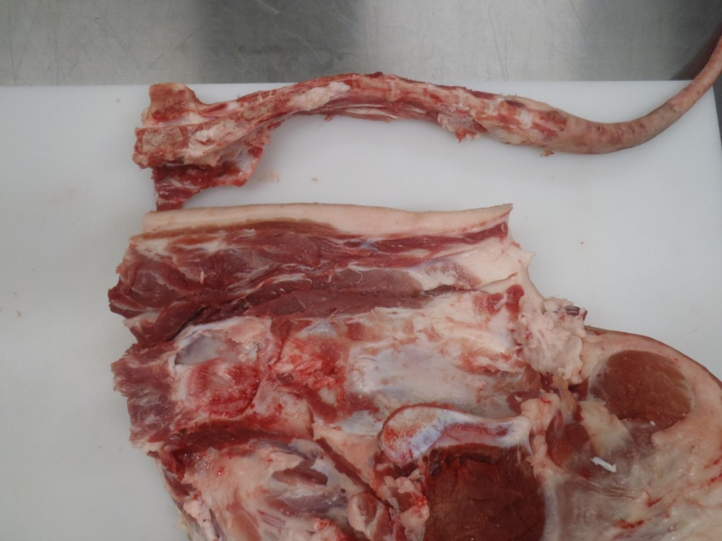 Tail bone removed