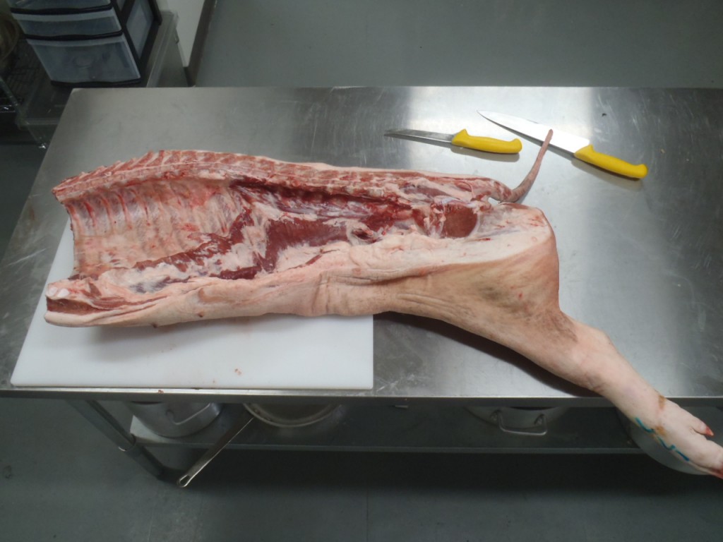 The side of pork, shoulder removed