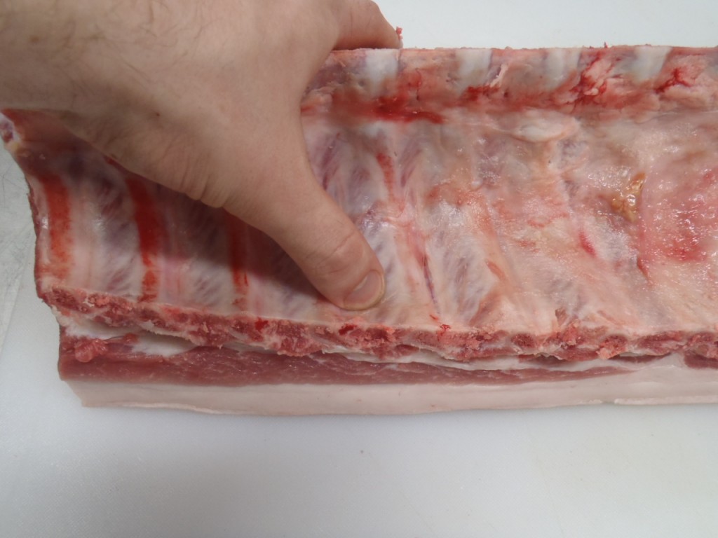 Locating the veins that run along the back ribs