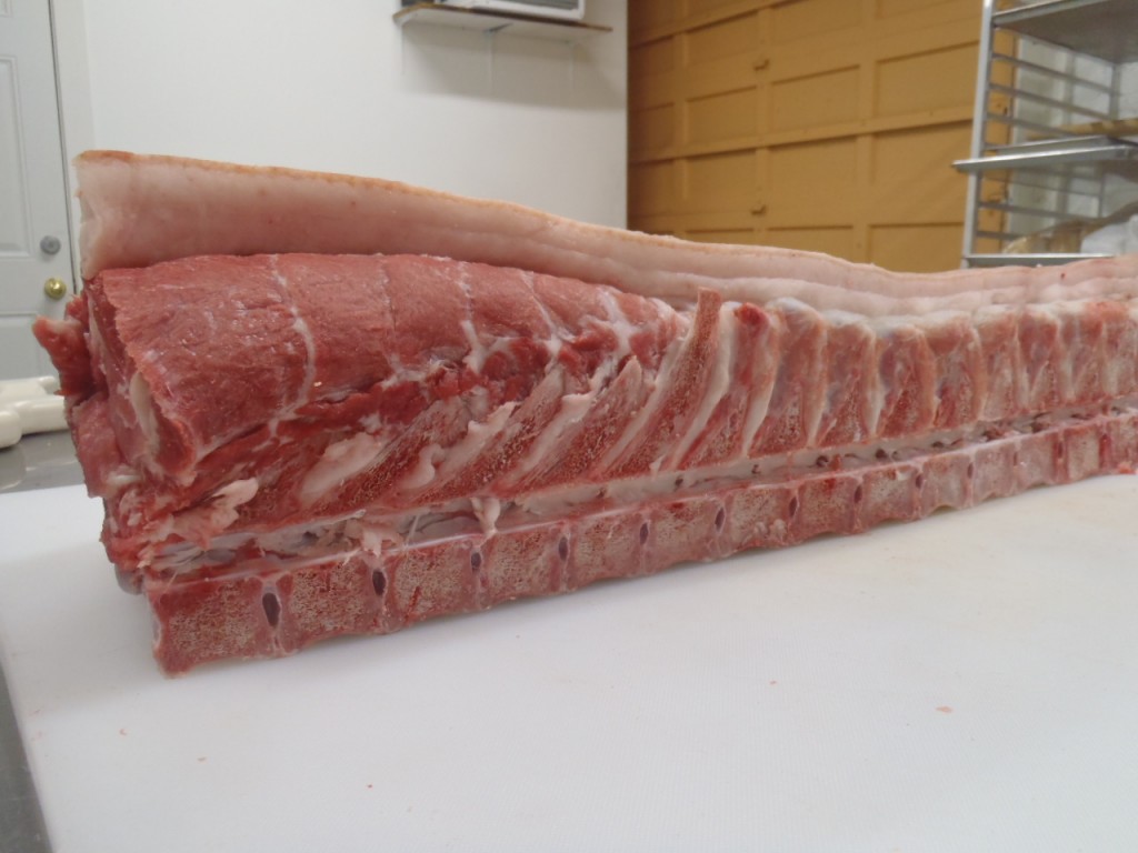 Pork loin, showing the feather bones