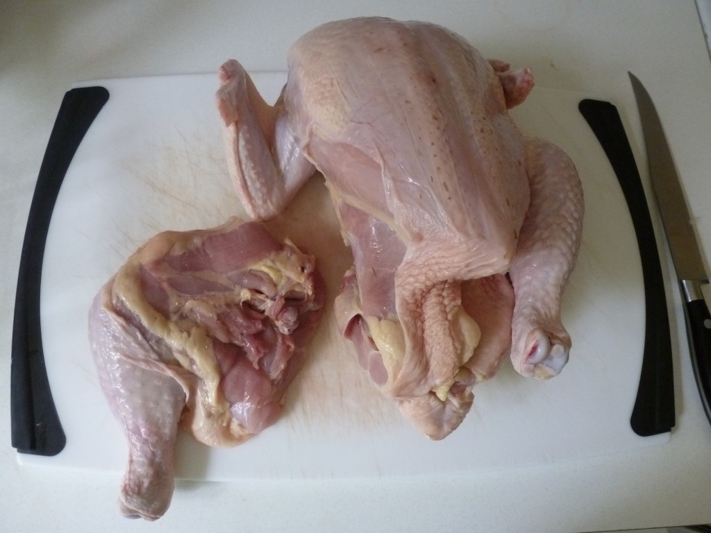 The separated leg and remaining body of the chicken