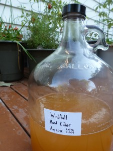 A jug of the year's first cider