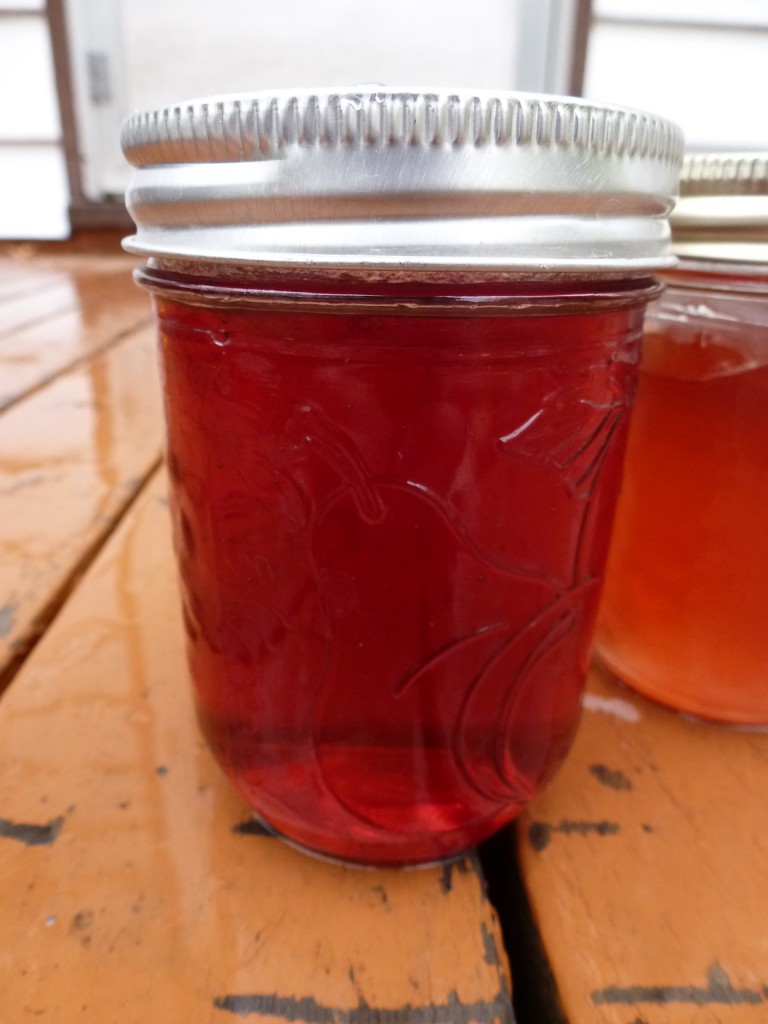 A crystal-clear jar of Dolgo crabapple jelly.