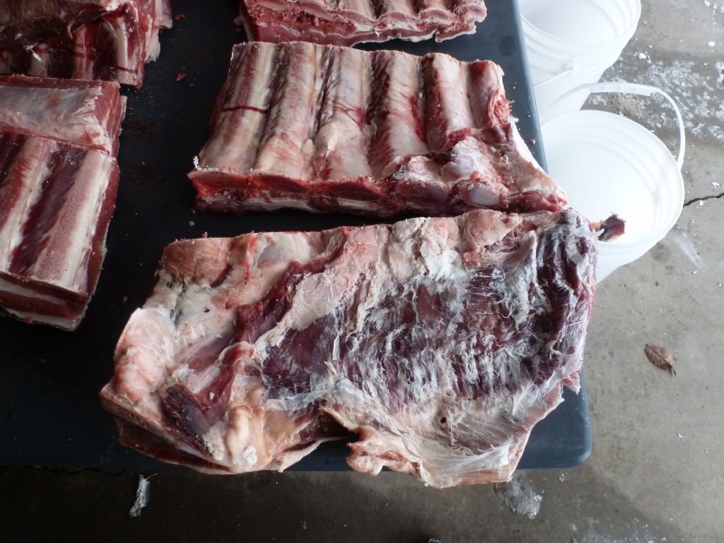Separating the short rib from the short plate