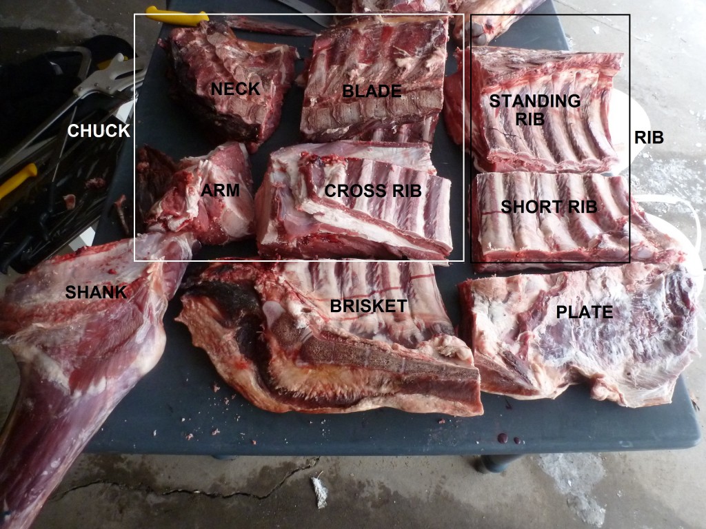 All the primals and subprimals on a forequarter of beef