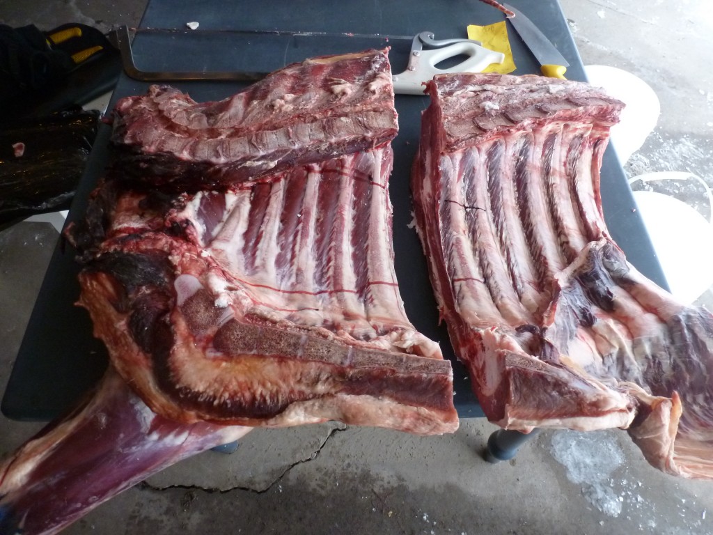 The forequarter, divided between the fifth and sixth rib.