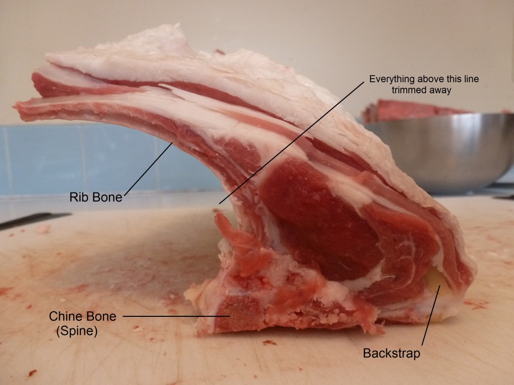 Cross-sectional view of a lamb rack
