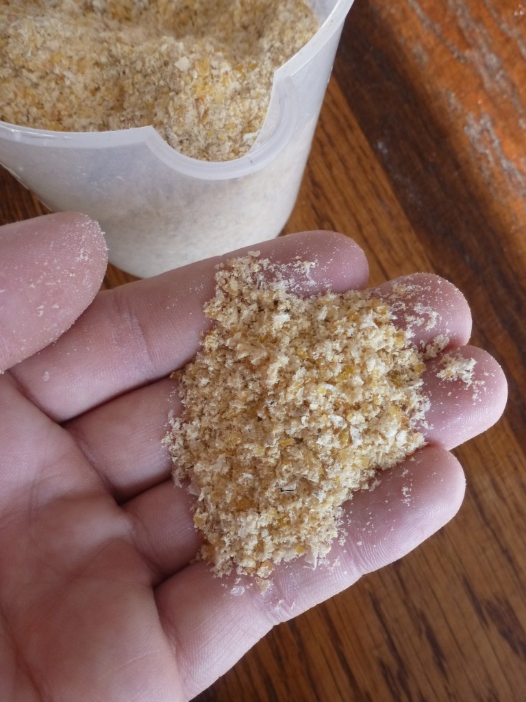 A fistful of homemade cornmeal