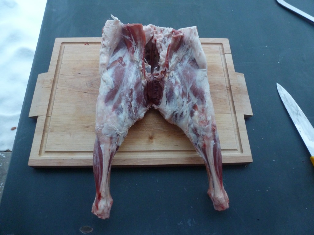 The underside of the hind legs of a lamb