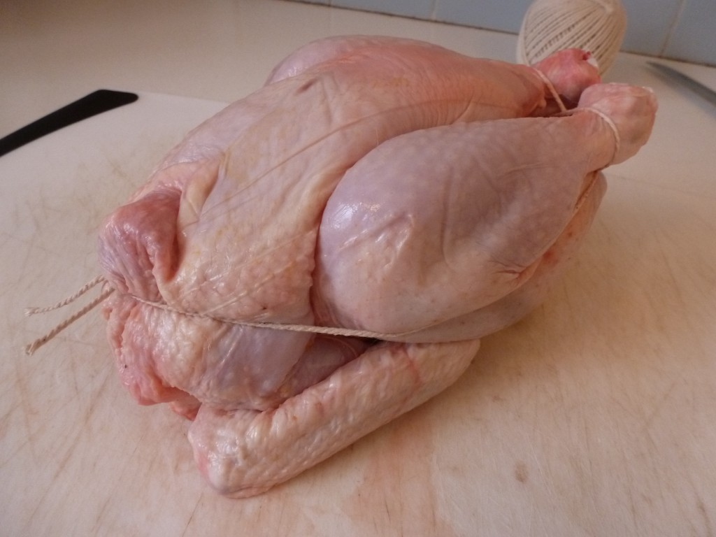 A trussed chicken