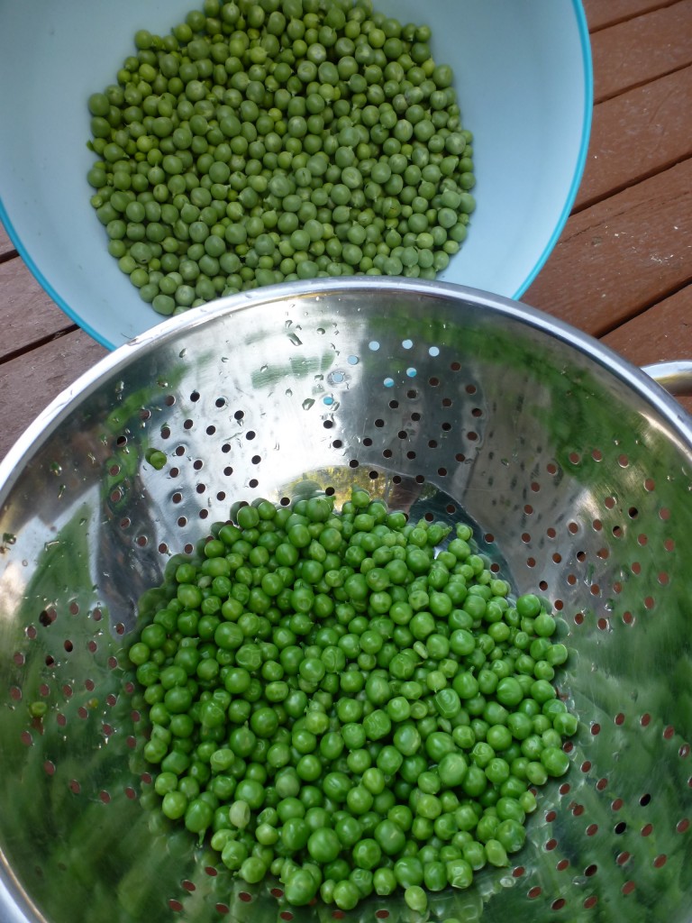 A side-by-side view of dull, raw peas, and vibrant, blanched peas.