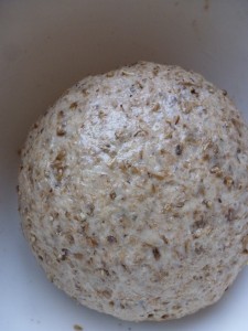 Spent grain dough