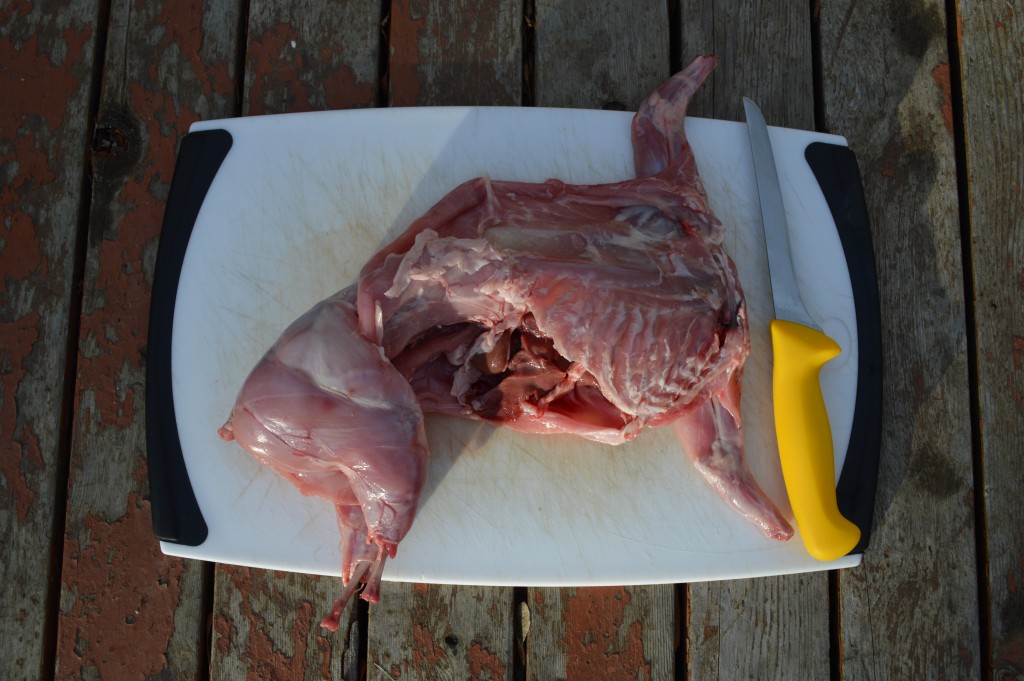 Boning rabbit: removing meat from the breast