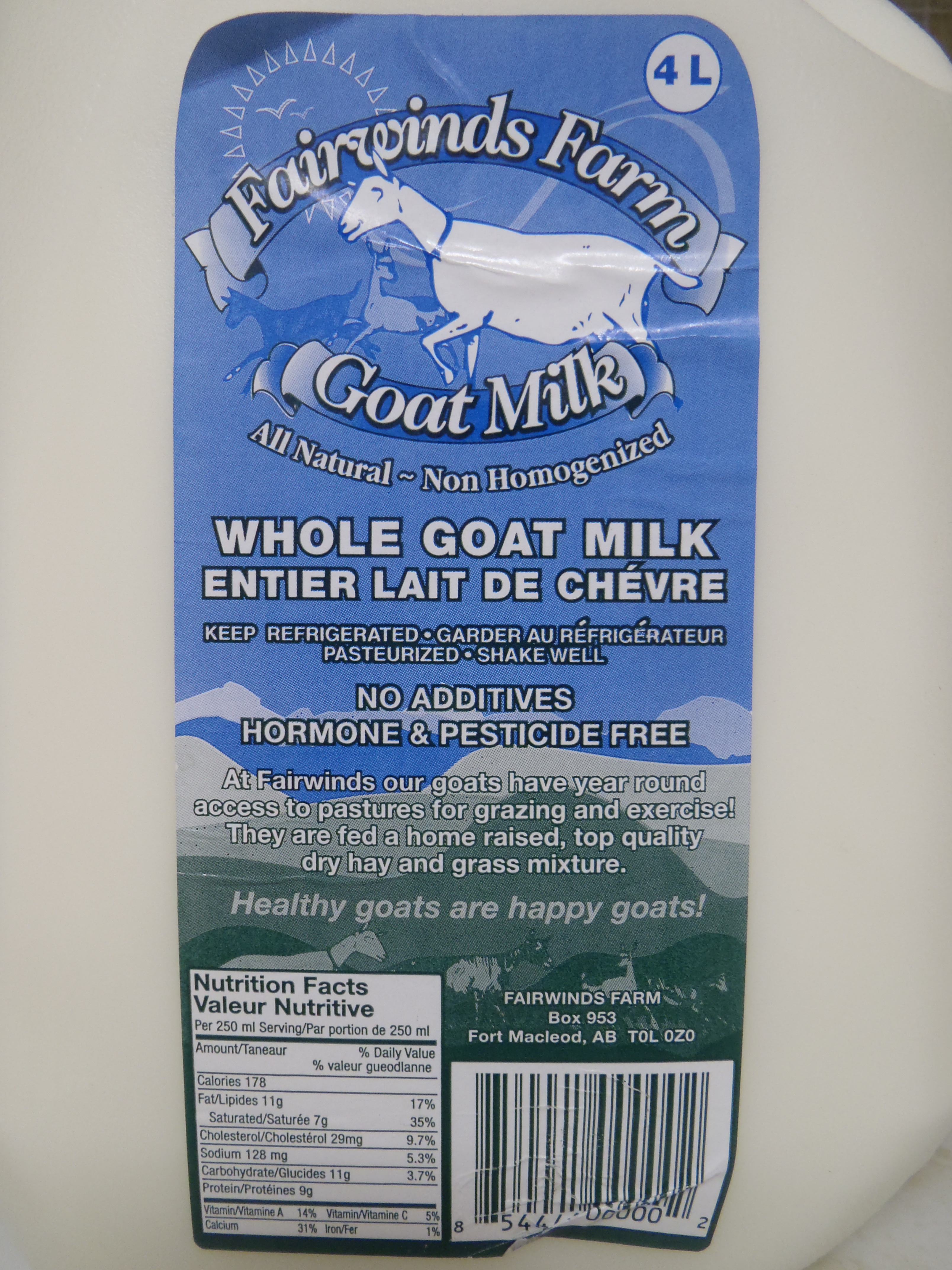 Fairwind Farms goat milk, about to become yogurt