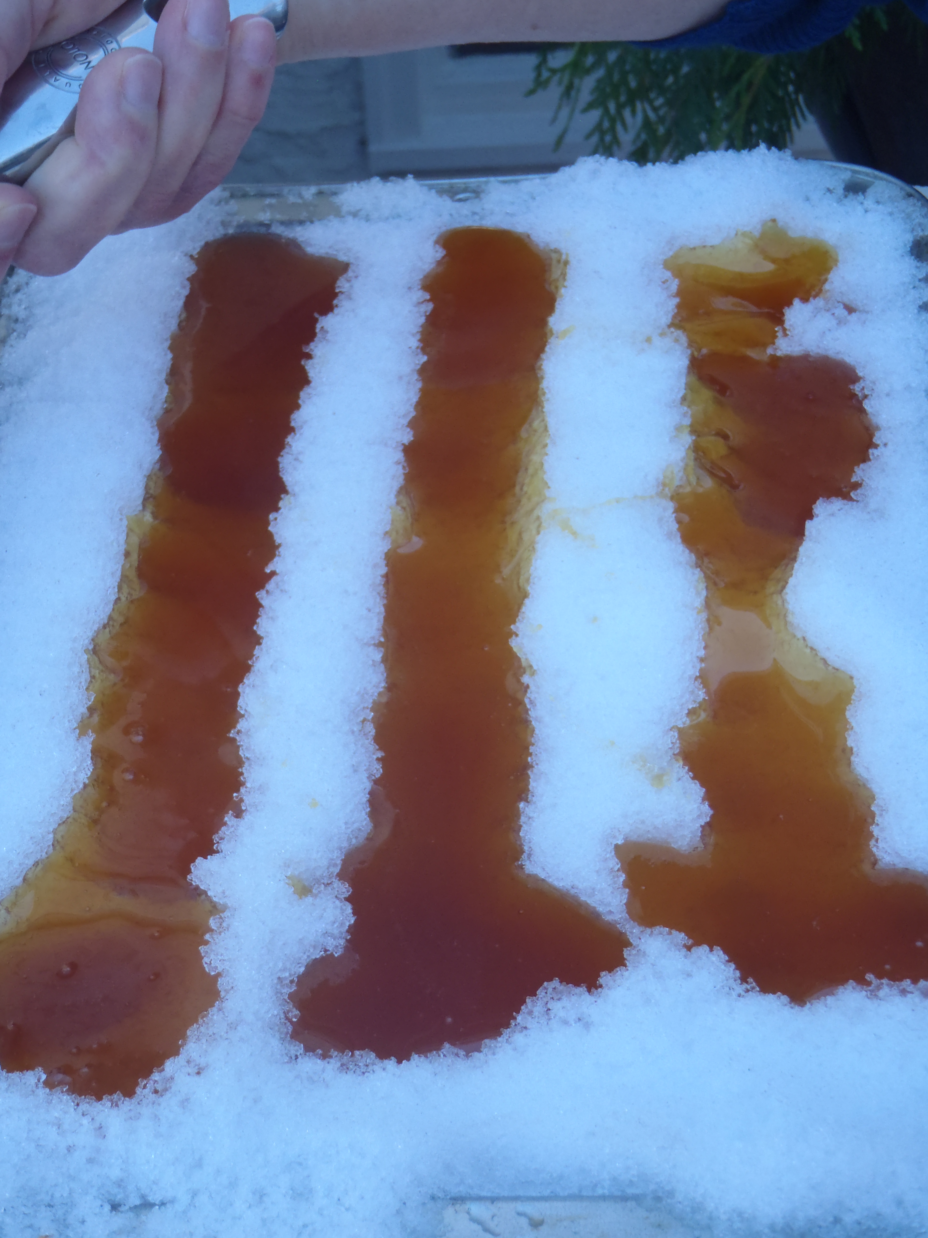 Pouring maple syrup onto fresh snow