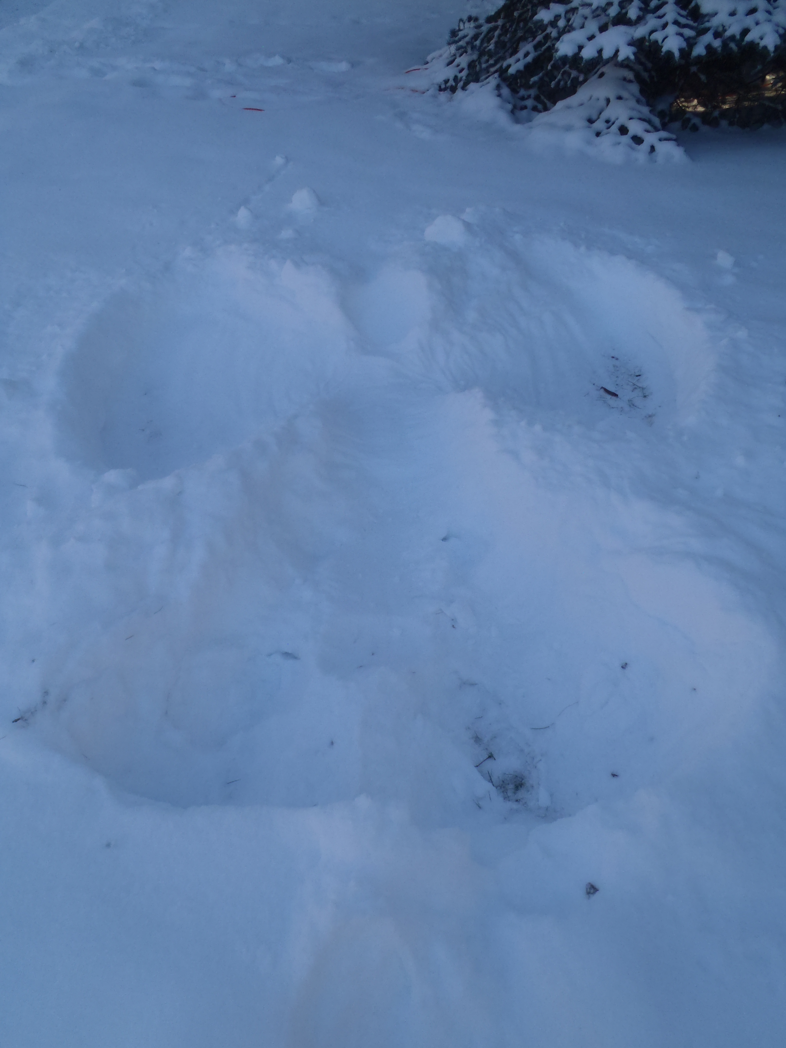 Snow angels: a solstice tradition