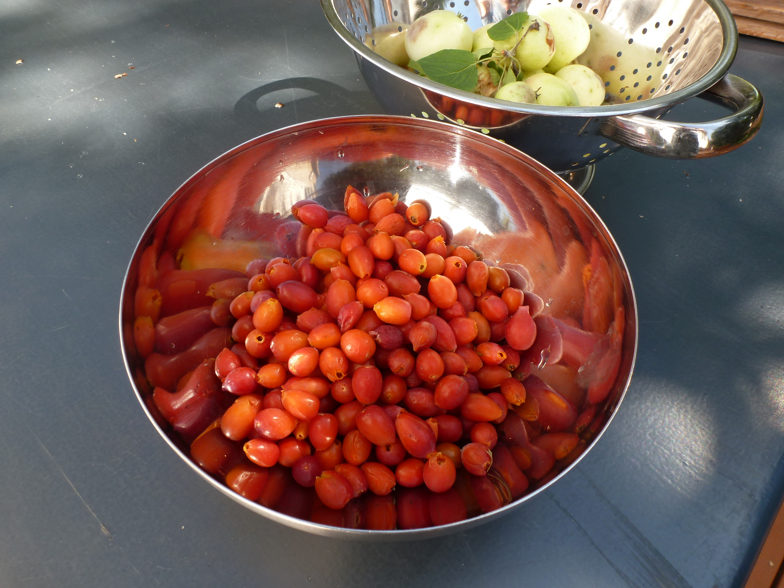 A bowl of rosehips