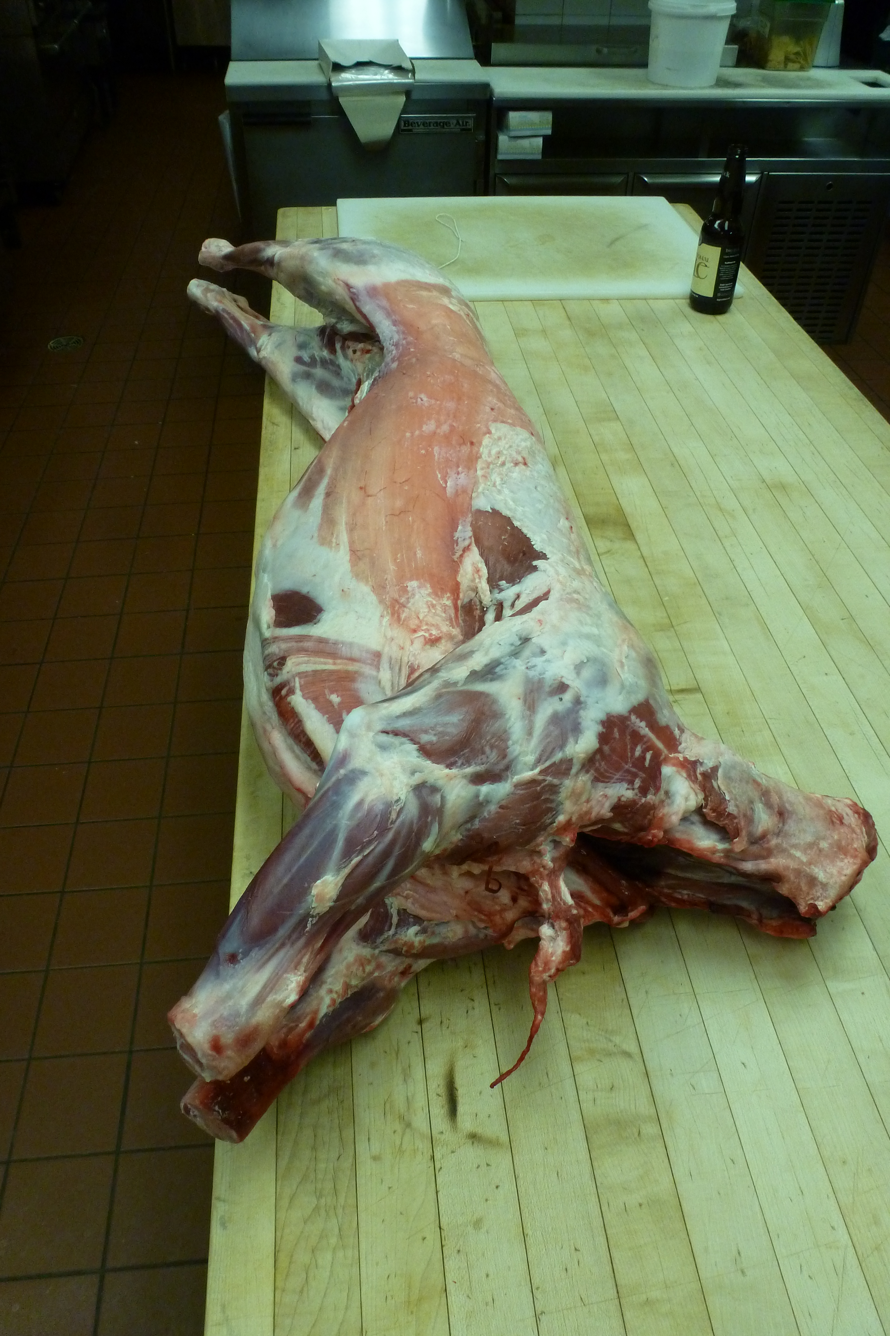 A whole lamb carcass, ready for cutting