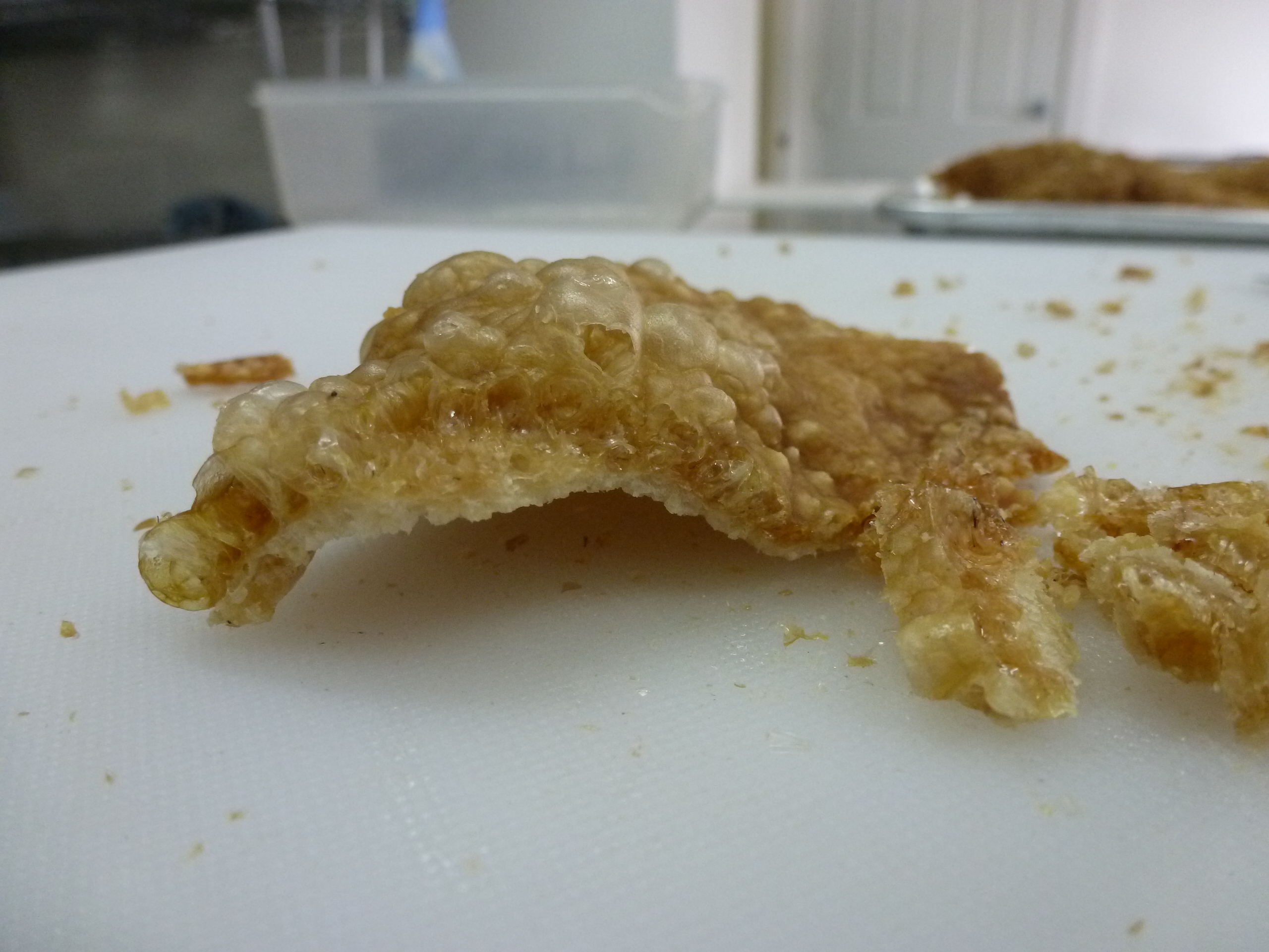 A close-up of the crispy pockets that form in the skin