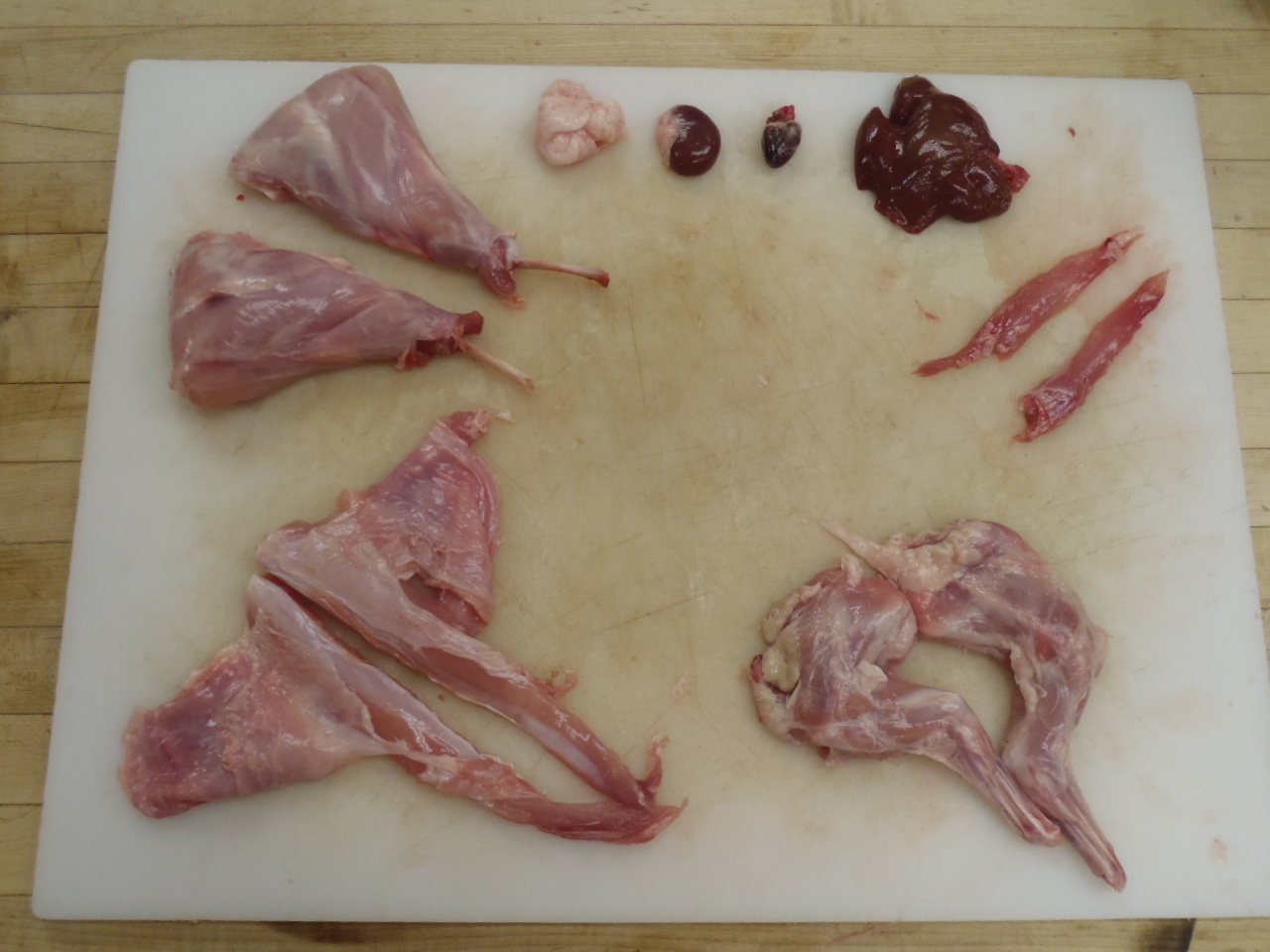A fully separated rabbit carcass