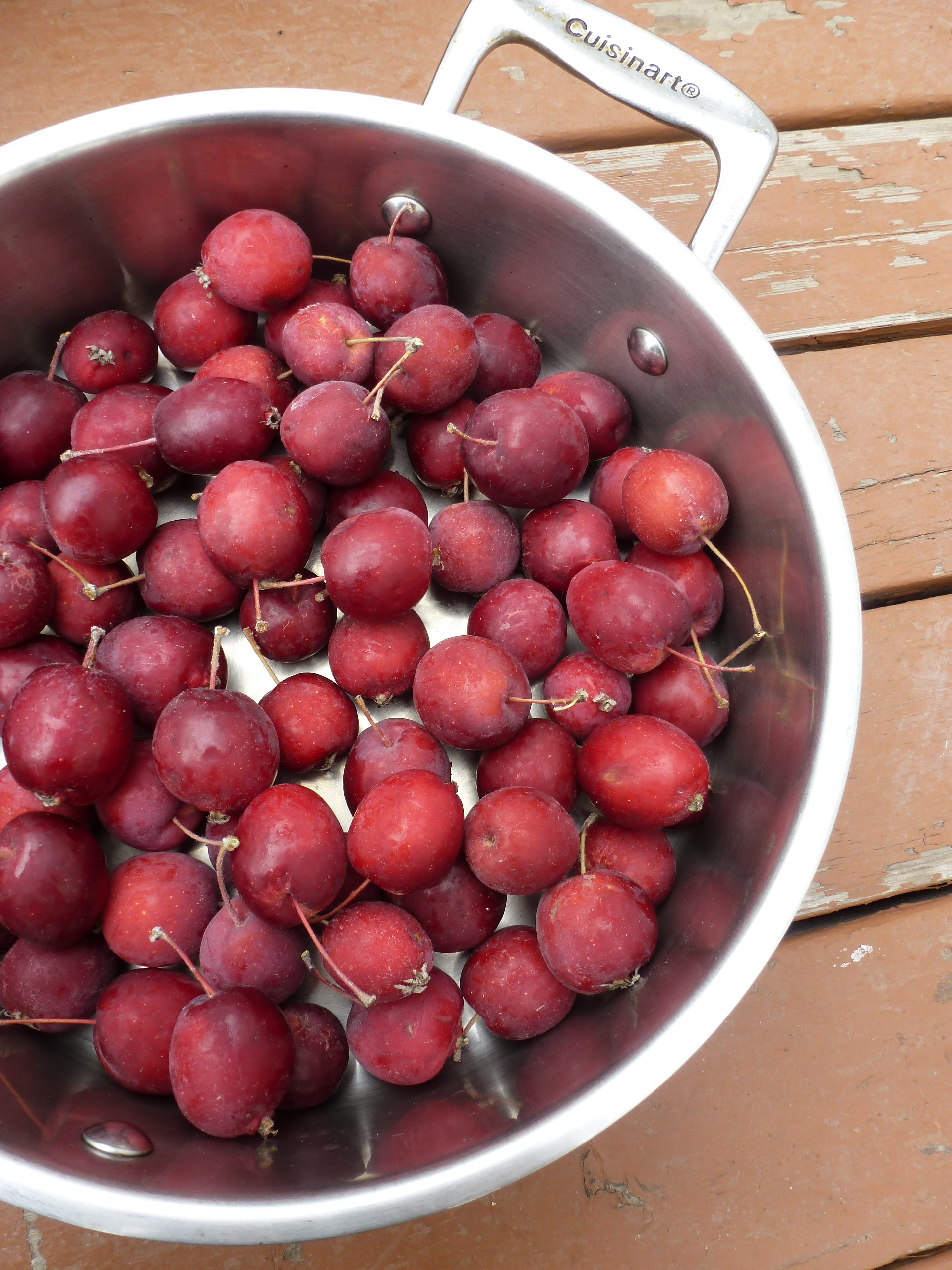 A pot of Dolgo crabapples, ready to be made into jelly