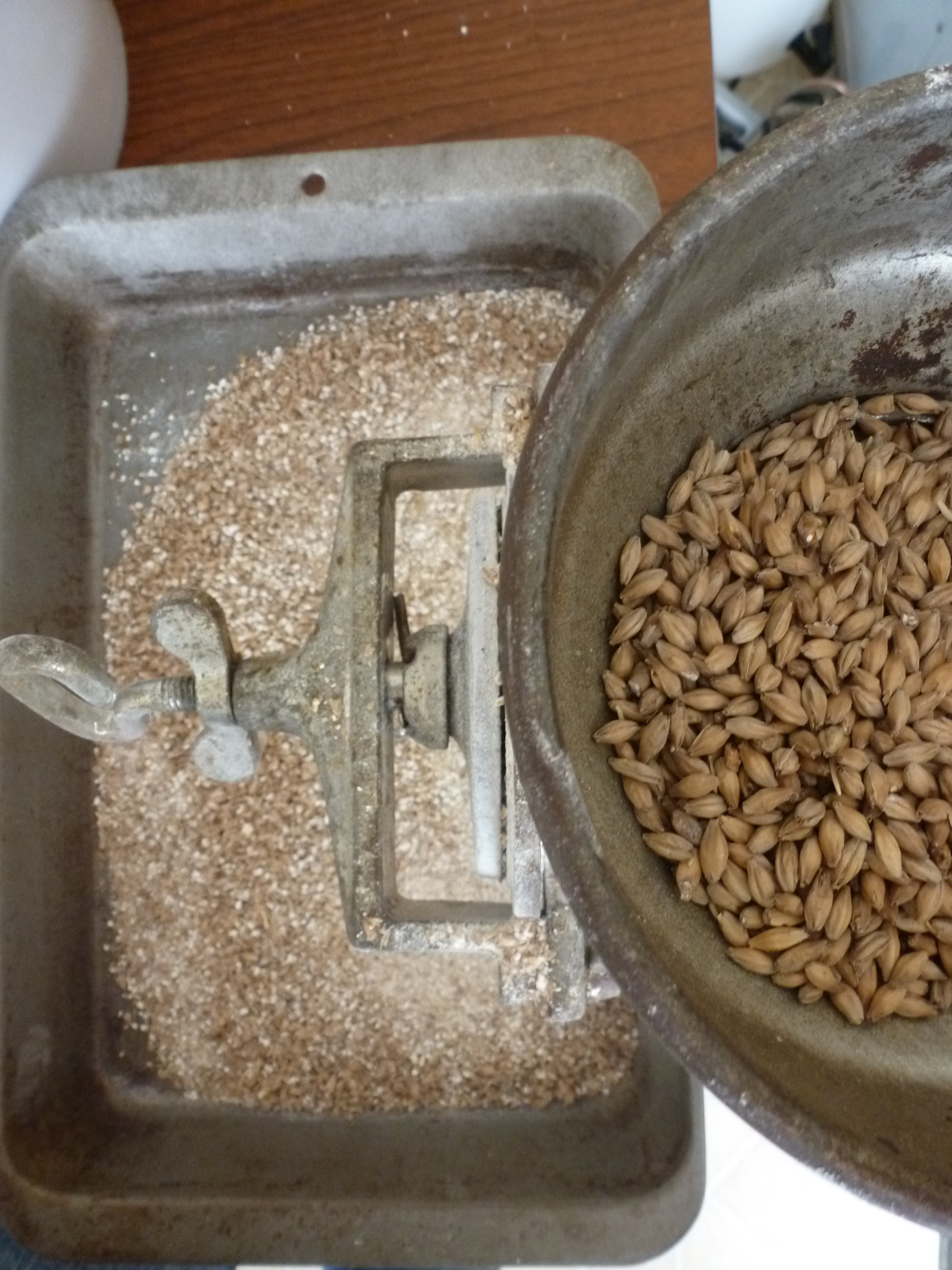 Grinding the malt into grist using an old-timey grain mill