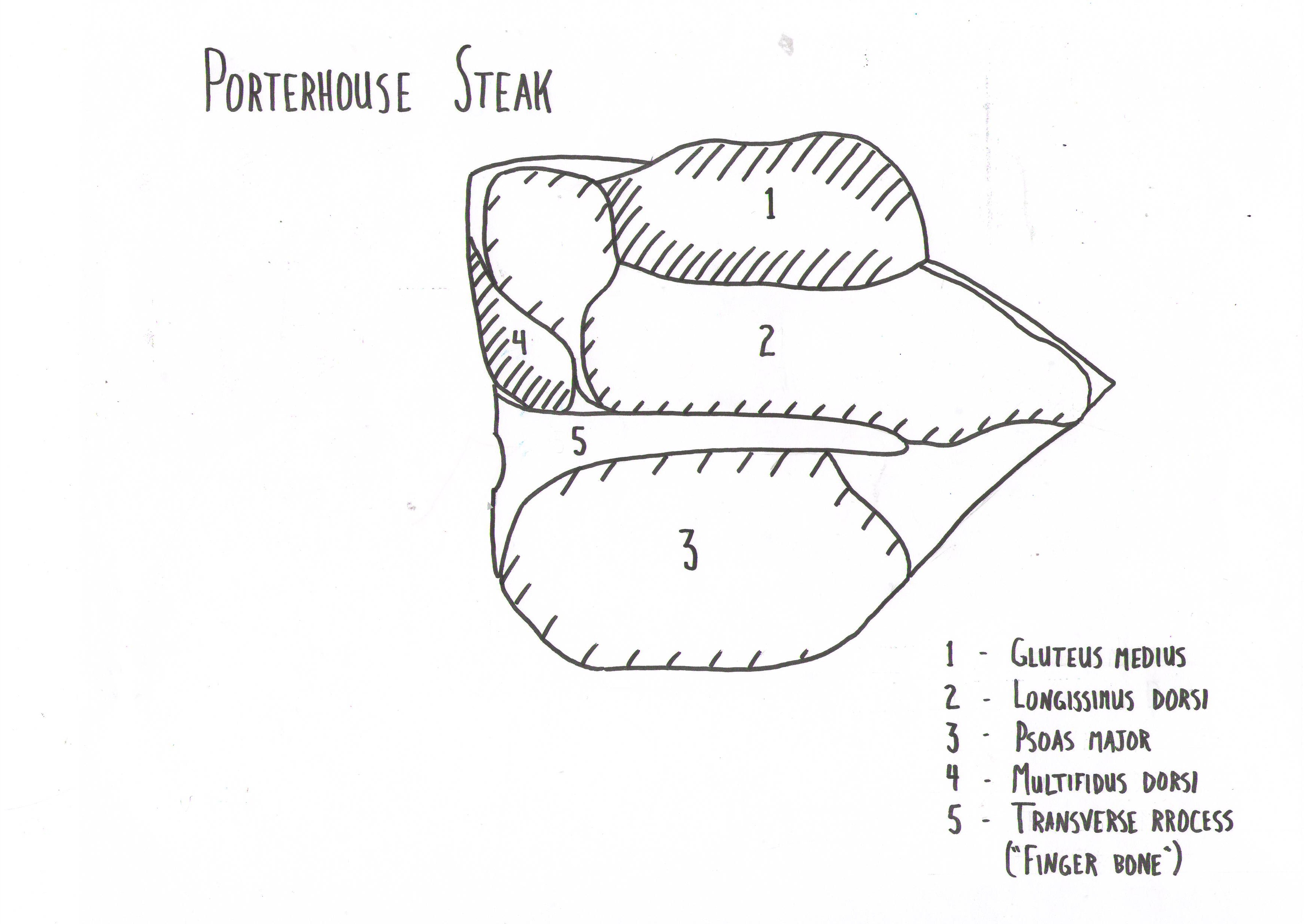 A super high-def image of a Porterhouse steak