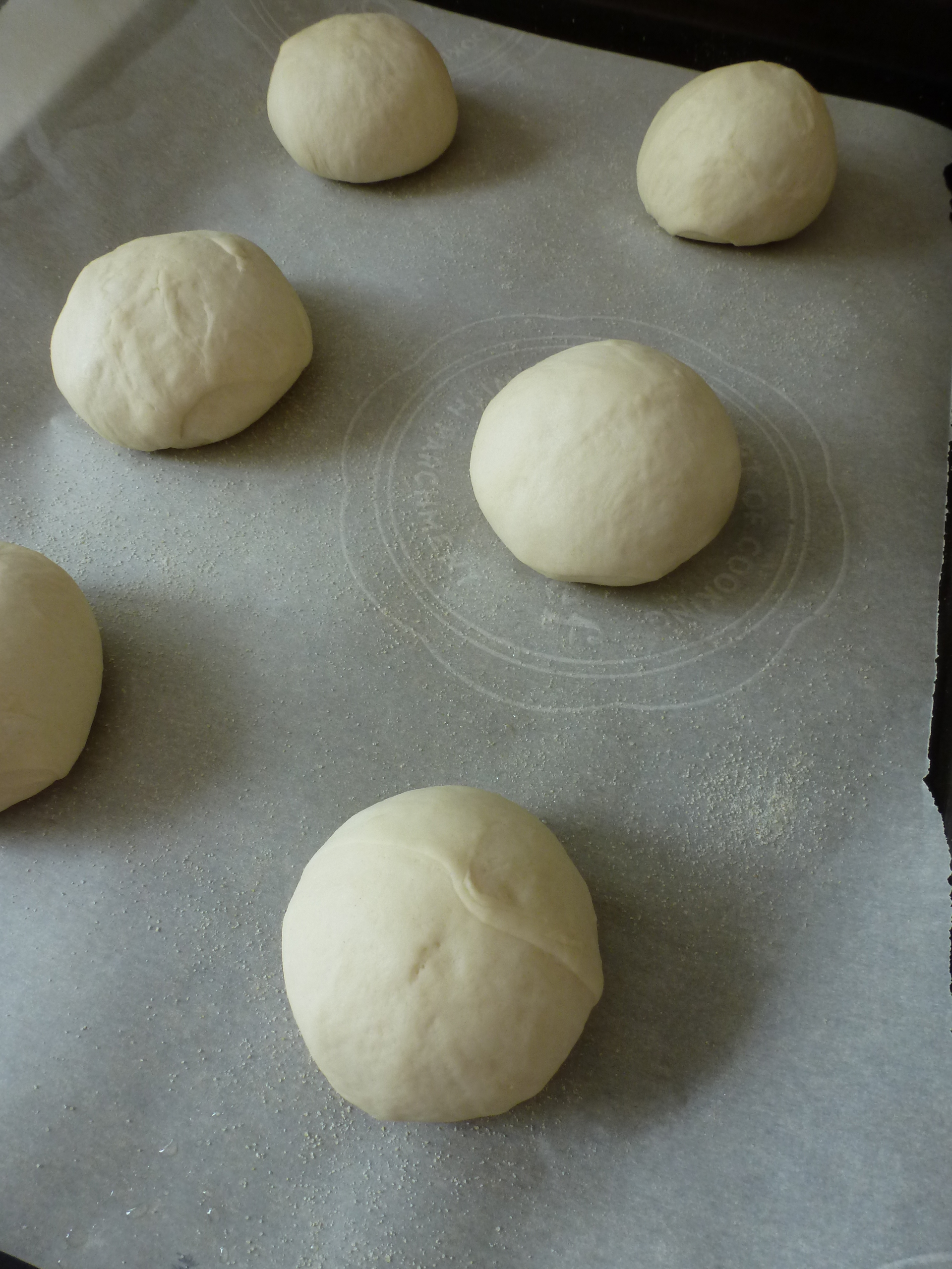 Shaping the English muffin dough into boules for proofing