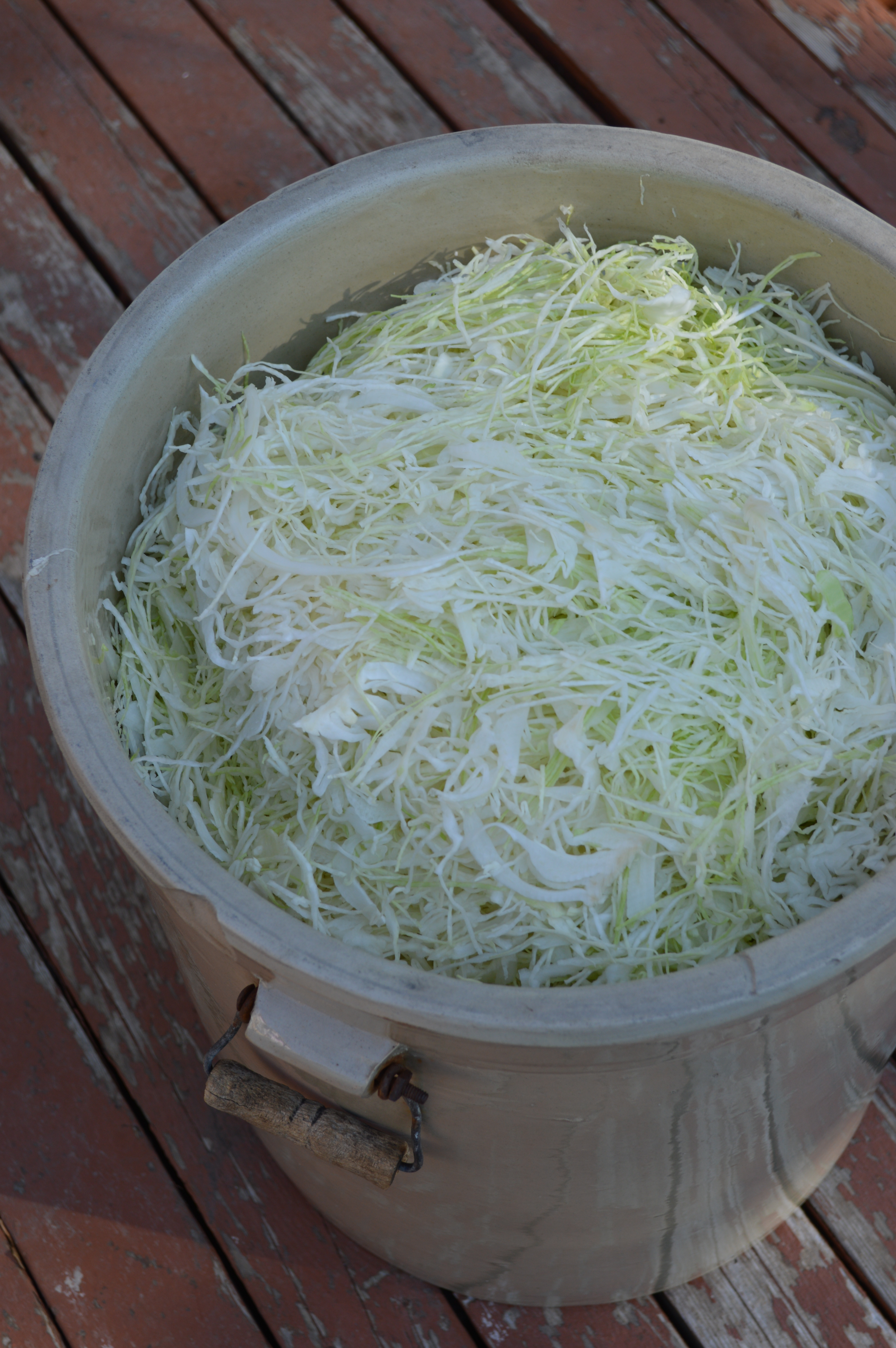 The freshly sliced cabbage, about to be mixed with salt