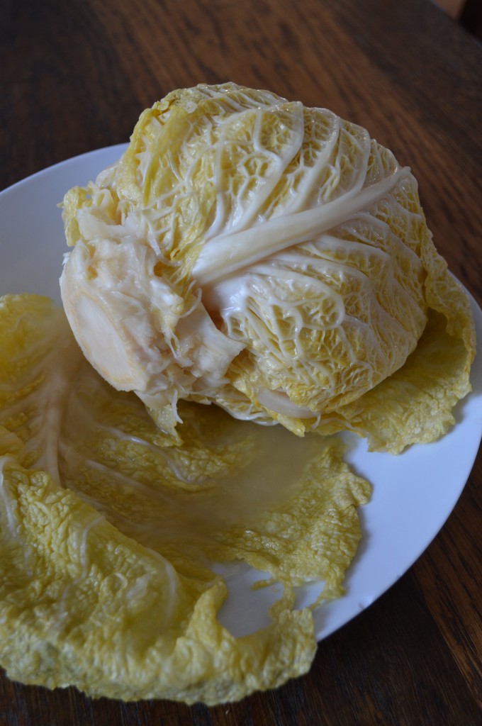 Sour Cabbage Heads Button Soup