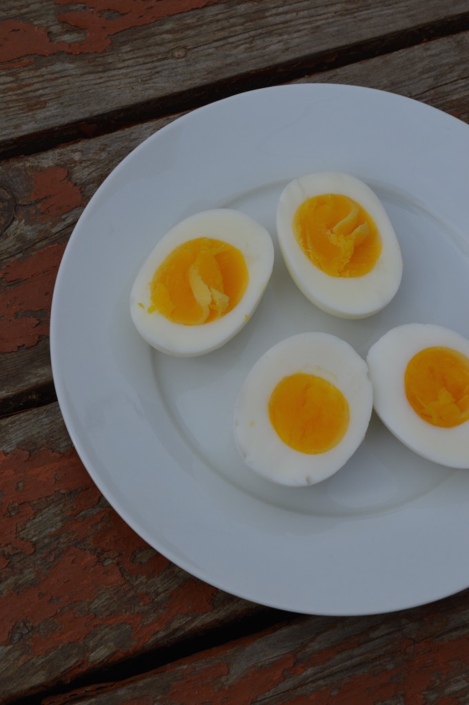 Simmering Eggs in their Shell Button Soup